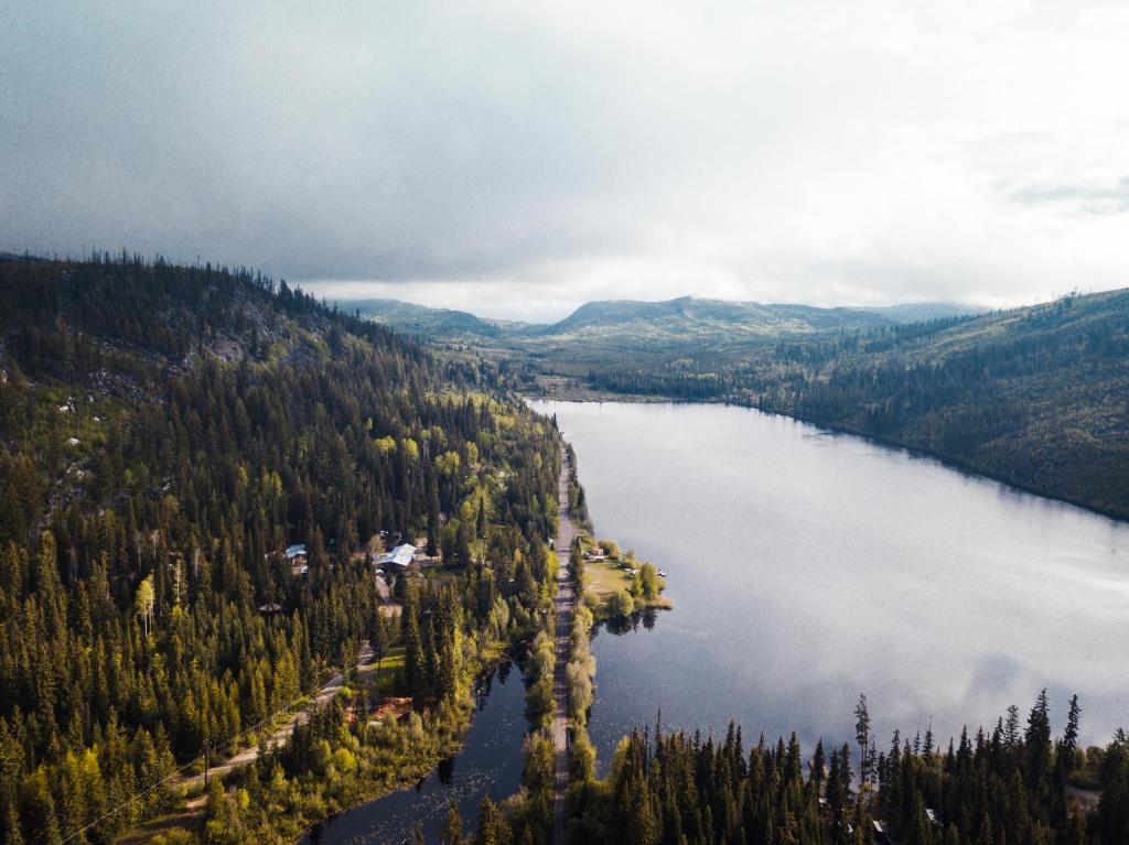 Image 1 of Chute Lake Lodge