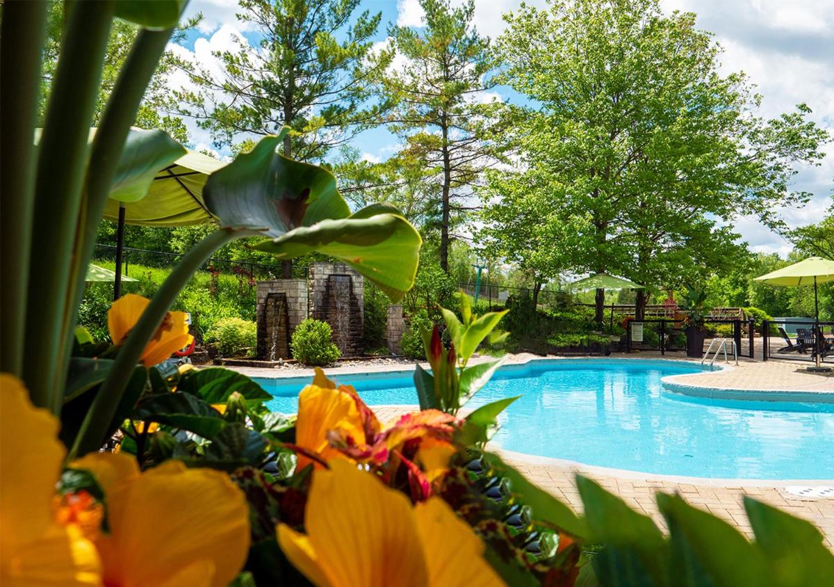 Image 3 of Hockley Valley Resort