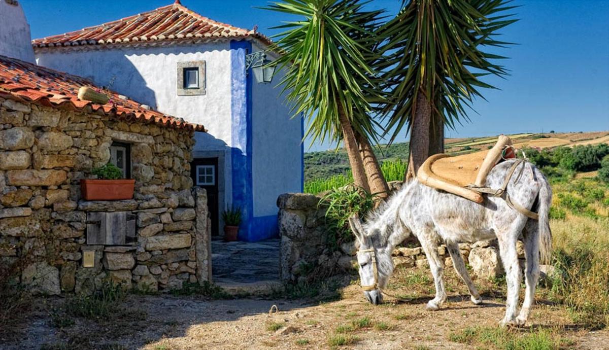 Aldeia da Mata Pequena