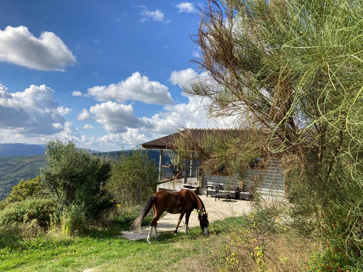 Mountain Log Cabin O Lobo