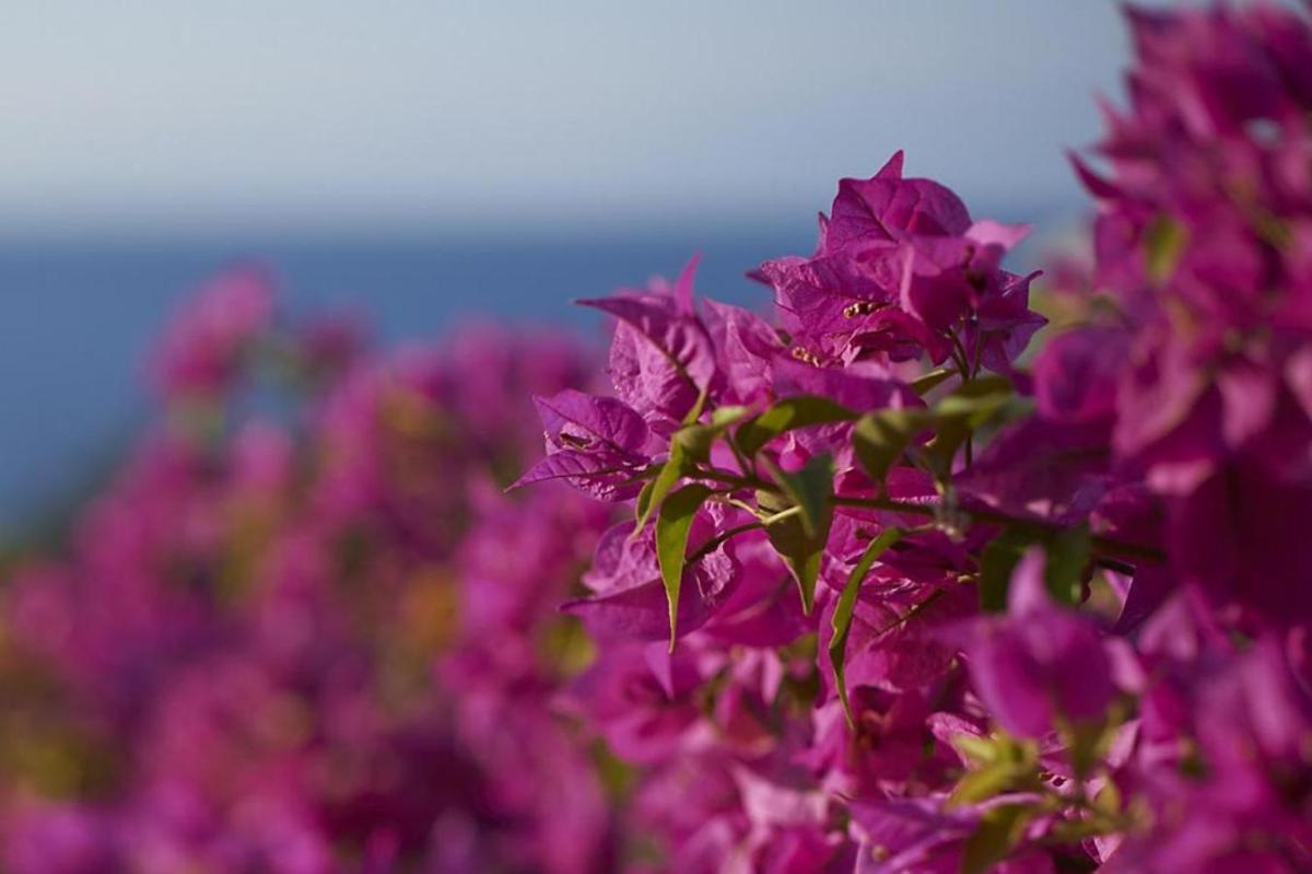 Mandarin Oriental, Bodrum