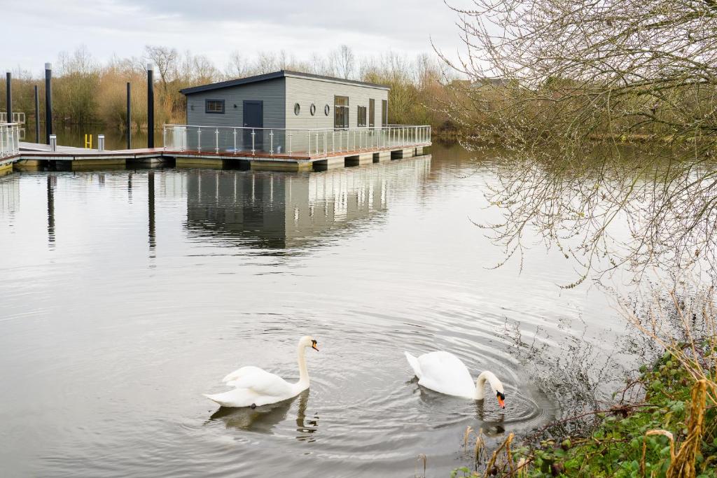 Berth 6 on Upton Lake, Upton-upon-Severn Home on Water