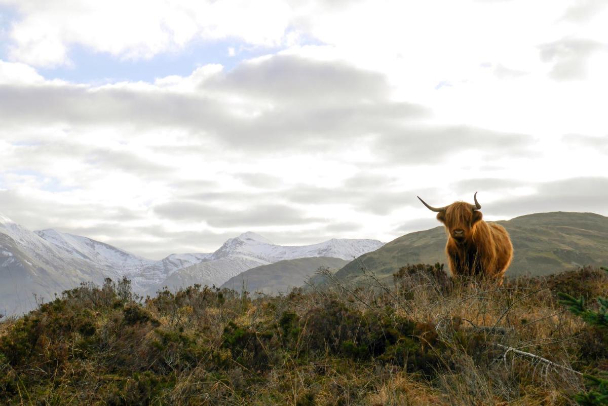 Glen Nevis Holidays