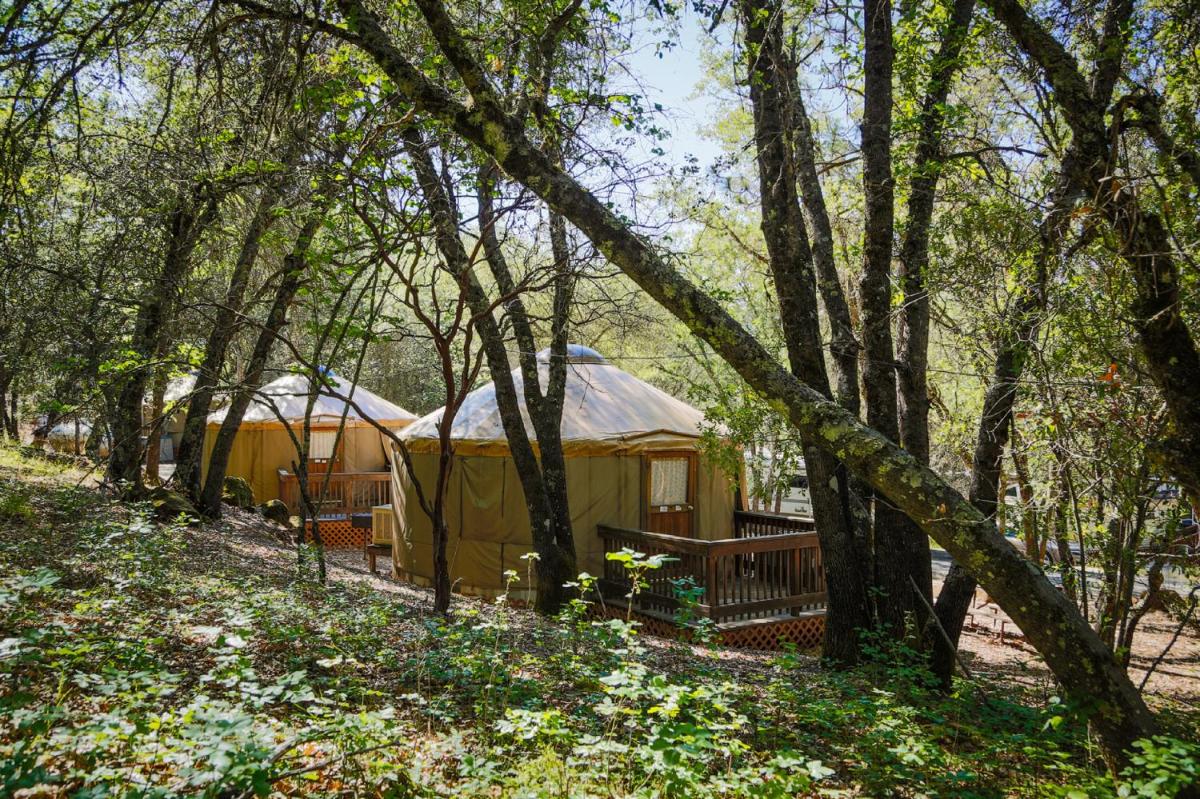 Lake of the Springs Camping Resort Yurt 6