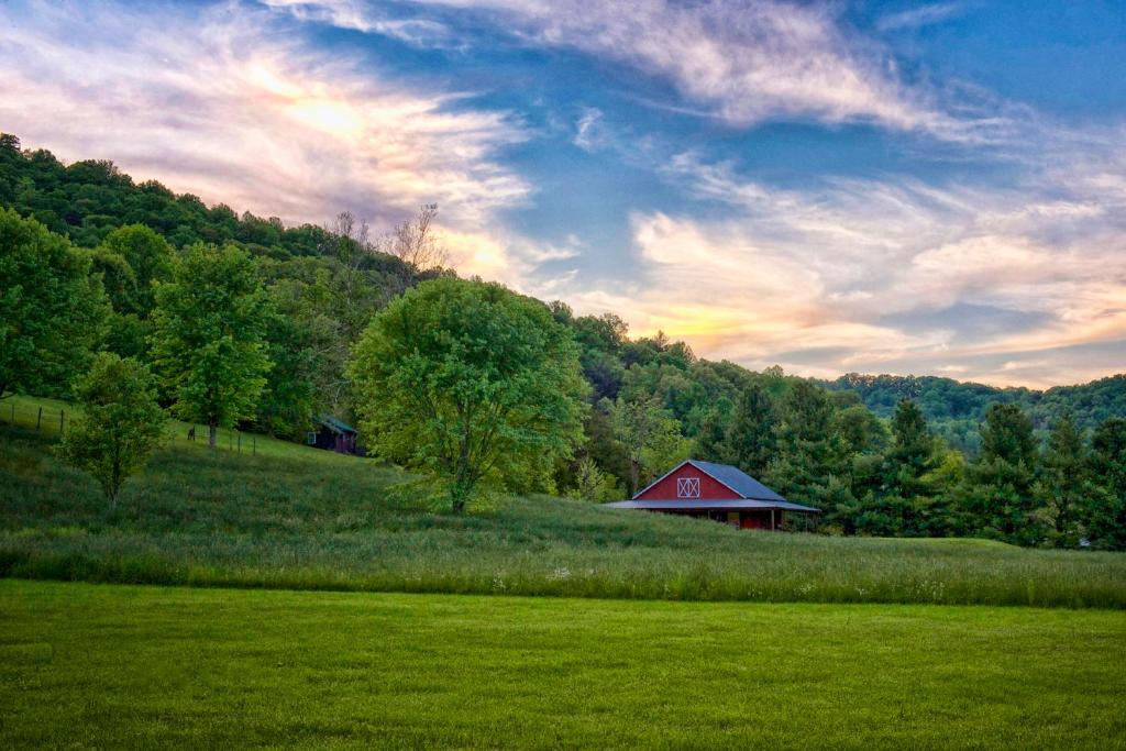 Mountain Springs Cabins