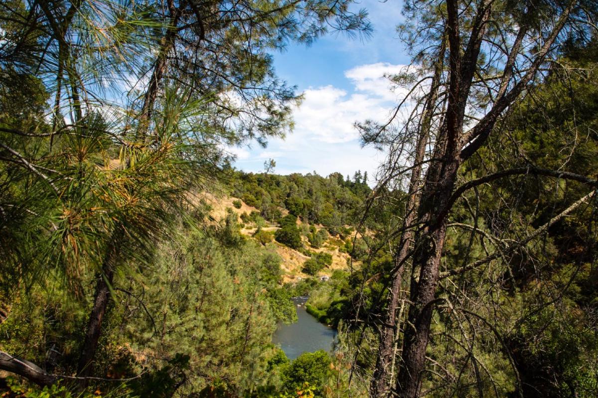 Russian River Camping Resort One-Bedroom Cabin 2