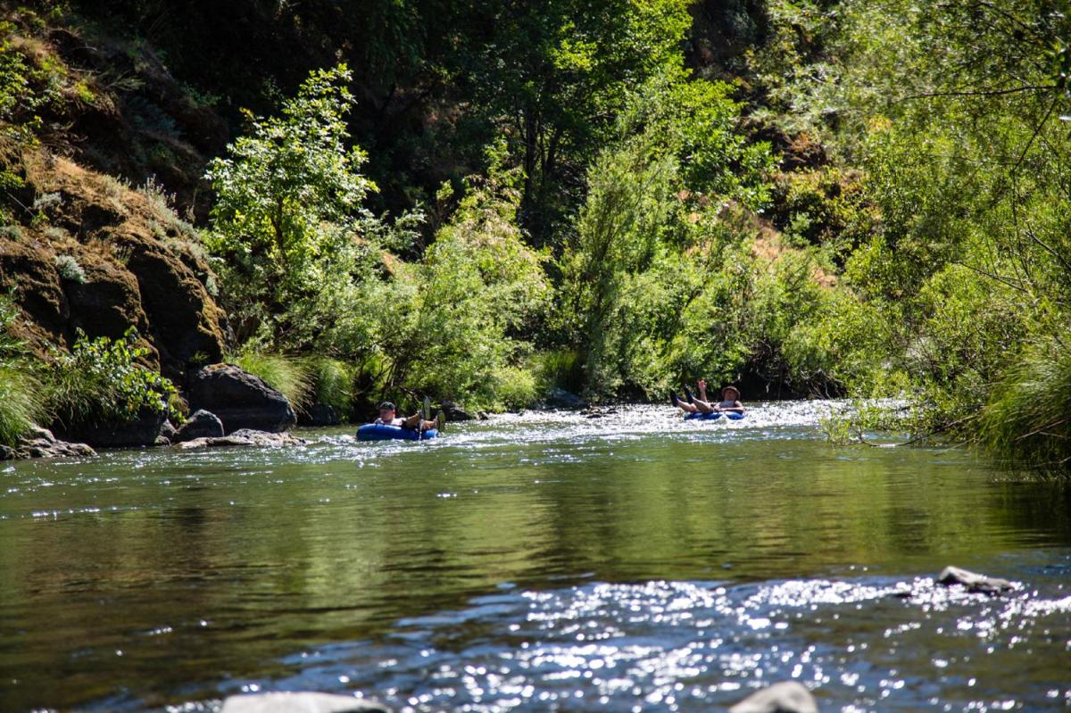 Russian River Camping Resort One-Bedroom Cabin 2