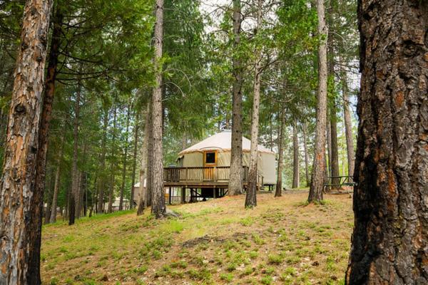 Yosemite Lakes Hillside Yurt 1