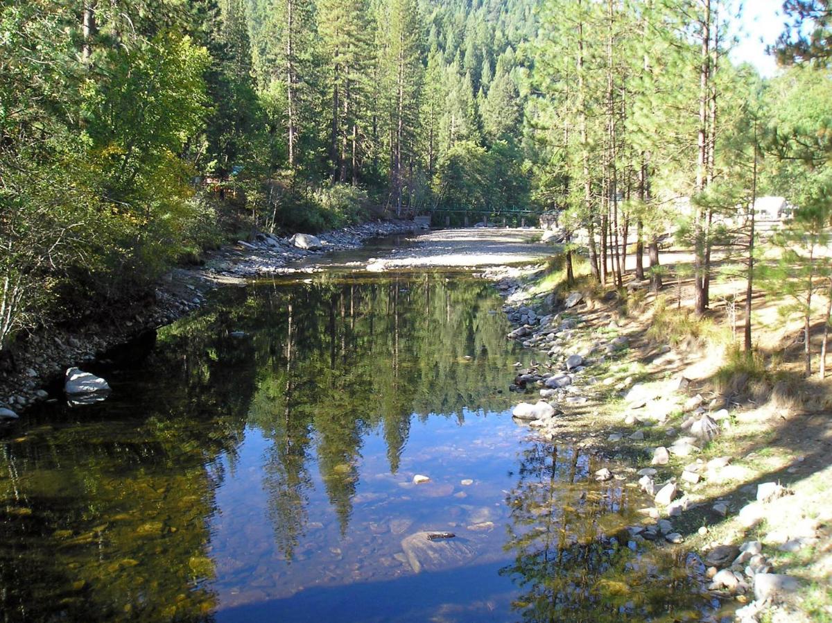 Yosemite Lakes Hillside Yurt 1