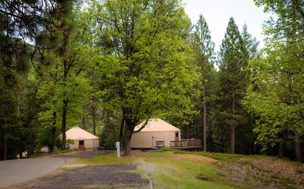 Yosemite Lakes Hillside Yurt 5