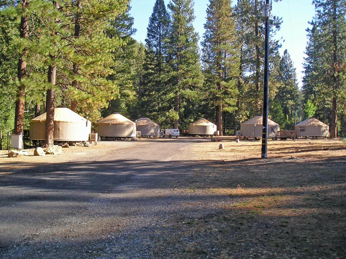 Yosemite Lakes Meadow Yurt 15